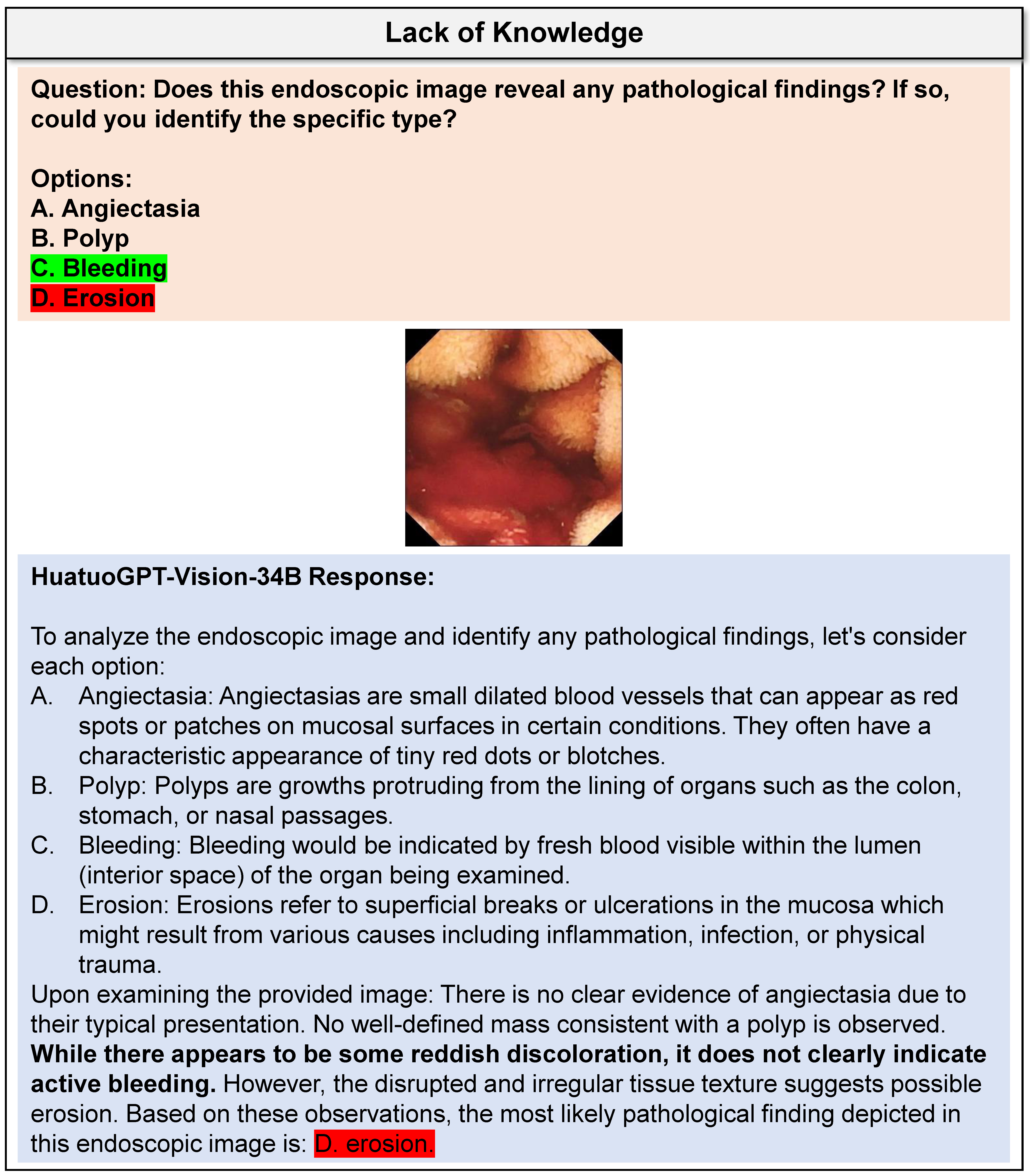 Case Study 10